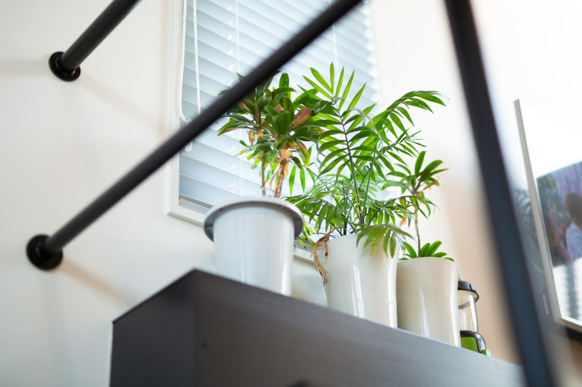 画像に alt 属性が指定されていません。ファイル名: OR_3824-1160x773.jpg